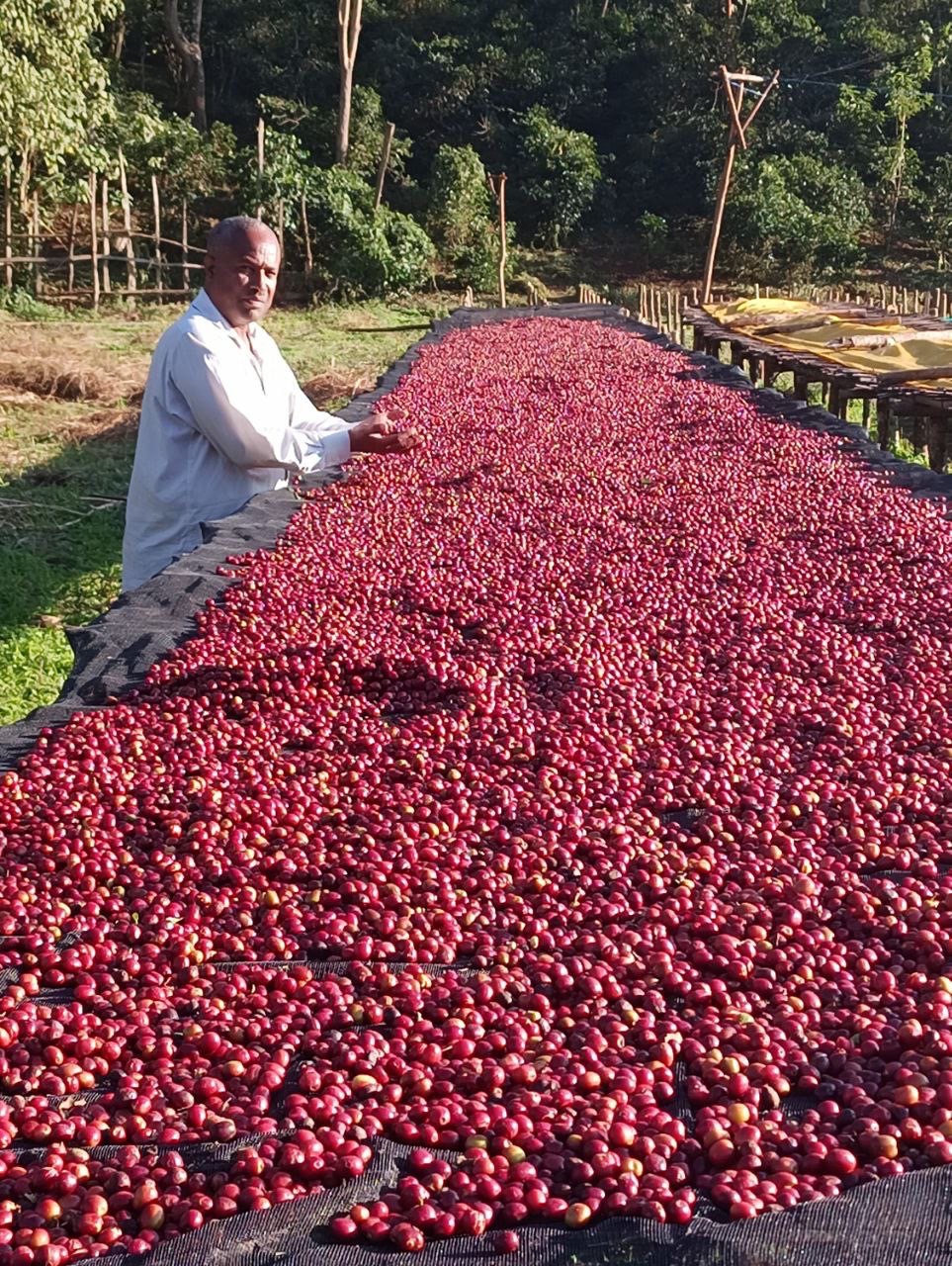 Cherries in Hand